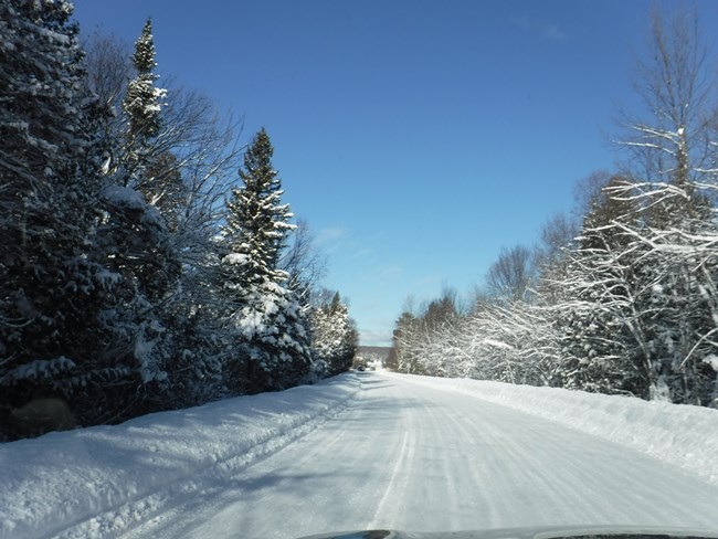 Sand Point Road in winter, flanked by conifer trees, bright blue sky overhead, light layer of snow on the road, plowed snow piles on the shoulders.