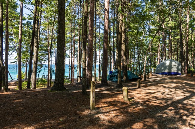 A campsite dominated by trees with a tent and a tarp in the background, You can see the blue waters of Lake Superior through the trees.