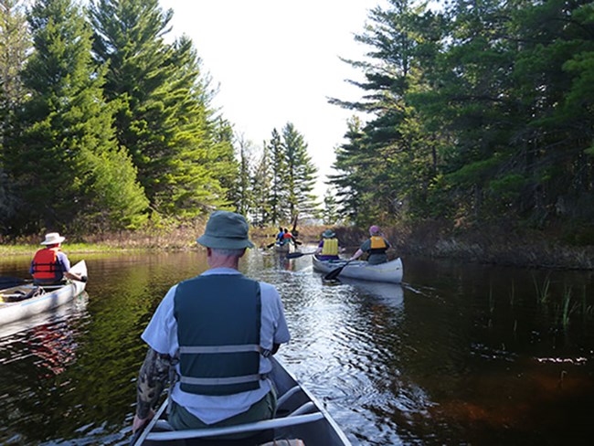 Canoe Trips on Beaver Lake Paddlers canoeing on Beaver Lake