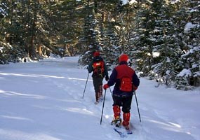 Two visitors trek through the snow covered forest on snowshoes. Two visitors trek through the snow covered forest on snowshoes.