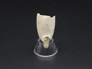 A fragment of white clay pipe
