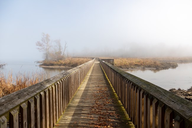 A wood boardwalk with railings stretches out across a marshy wetland cloaked in fog.