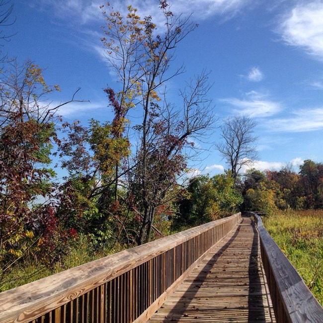 Piscataway Park boardwalk running along a wetland.