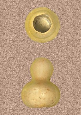 Gourd