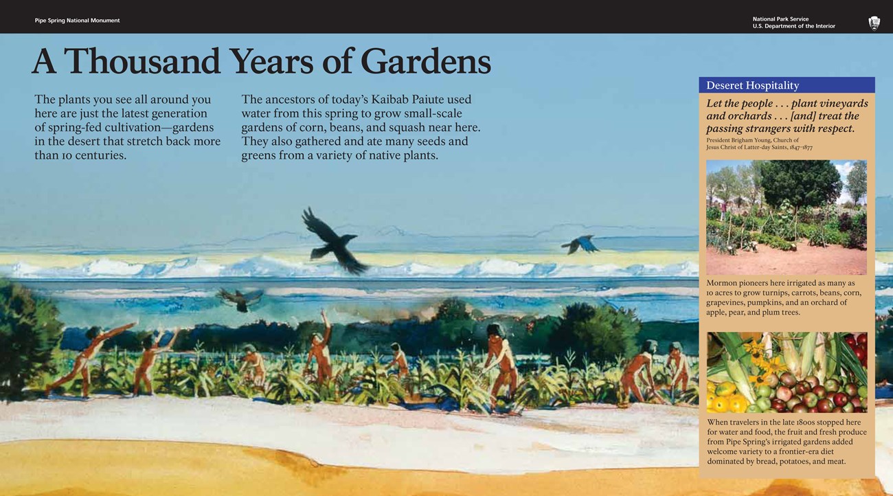 A Thousand Years of Gardens