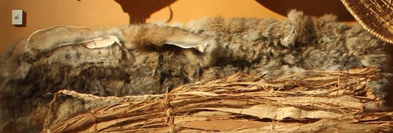 Rabbit Blanket