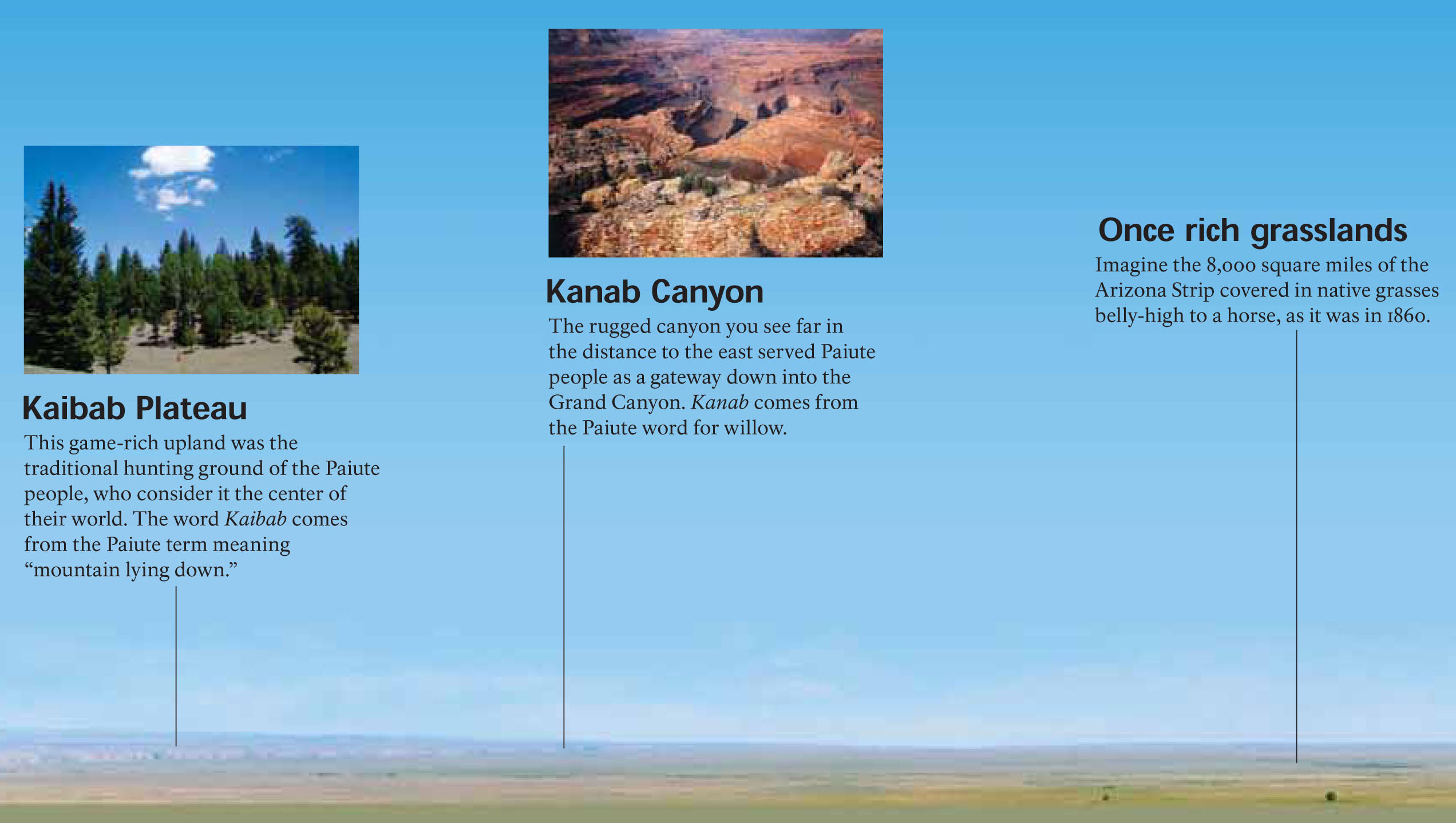 View from Ridge Trail