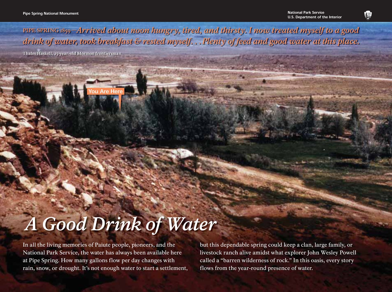 A Good Drink of Water