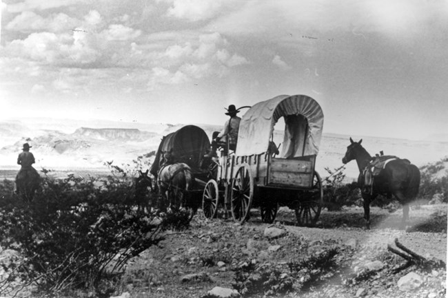 A black and white image of covered wagons traveling rugged terrain