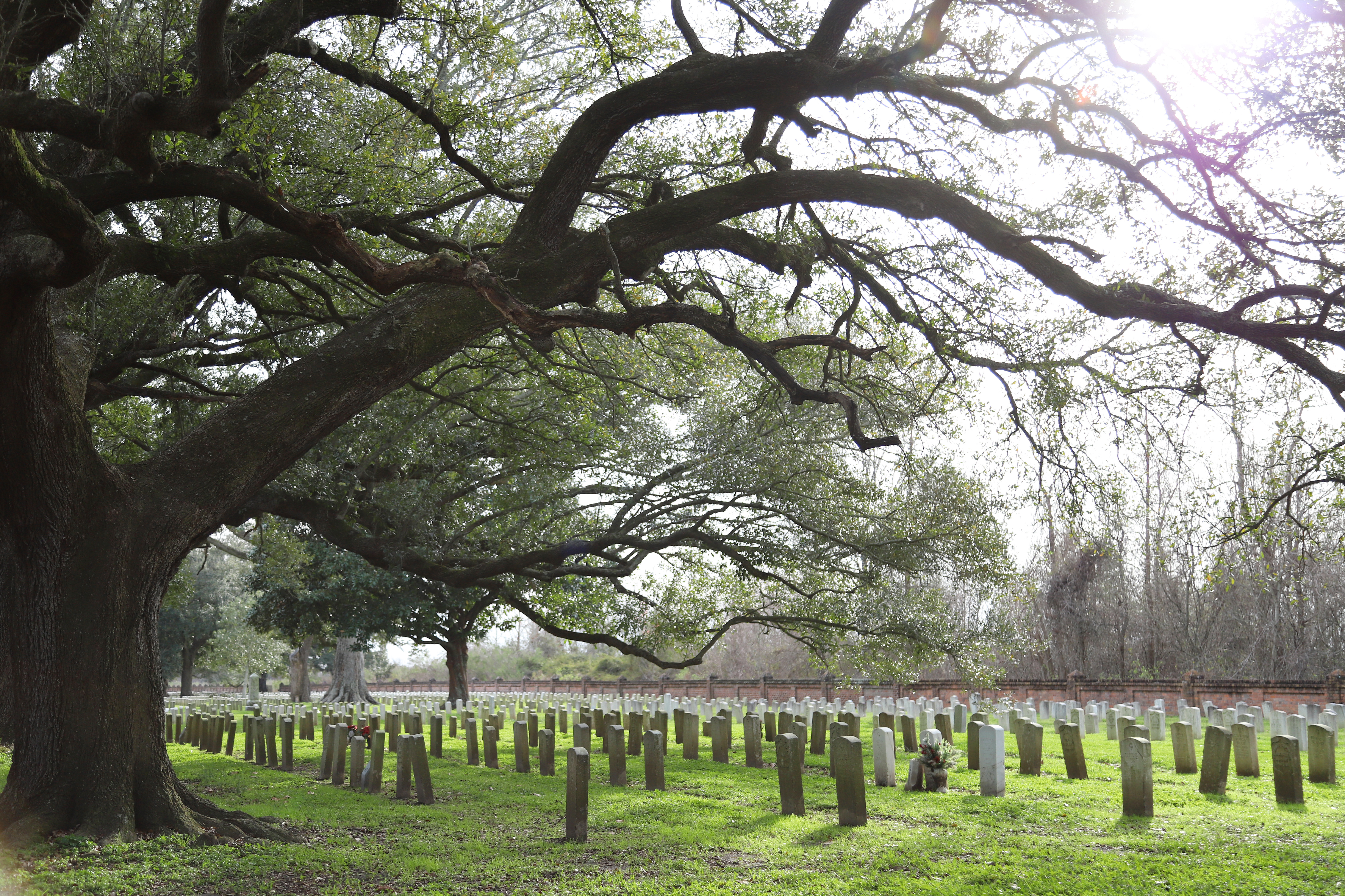 Lines of headstones in the Chalmette National Cemetery