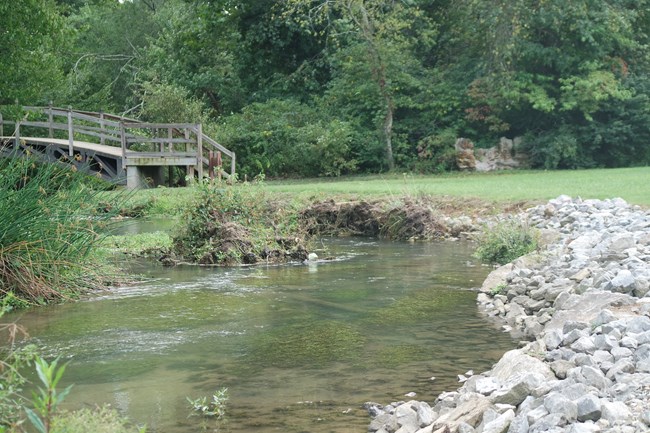 Stream through meadow