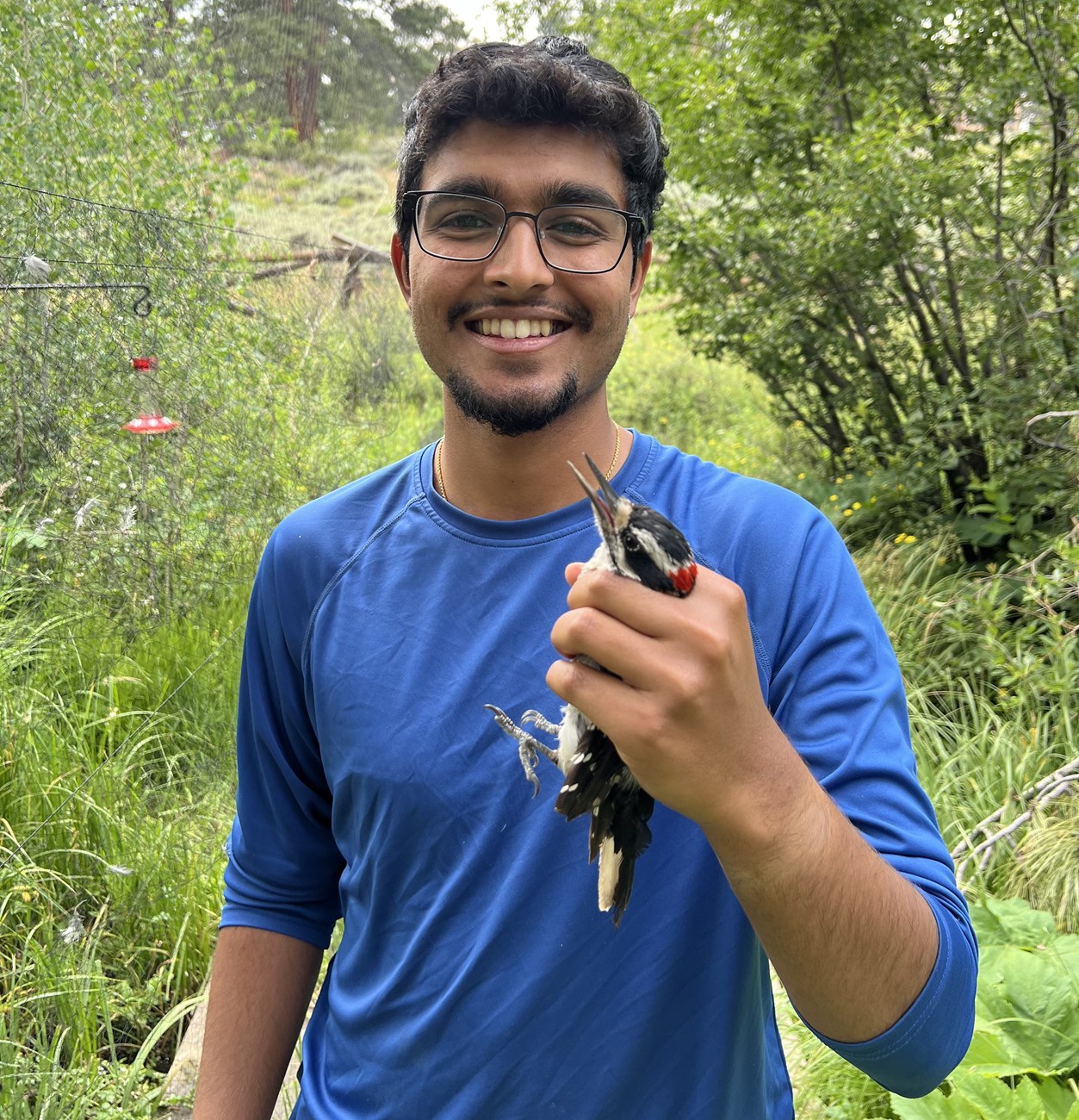 Prineet Holding a bird A young man wearing a blue shirt and glasses holds up a bird