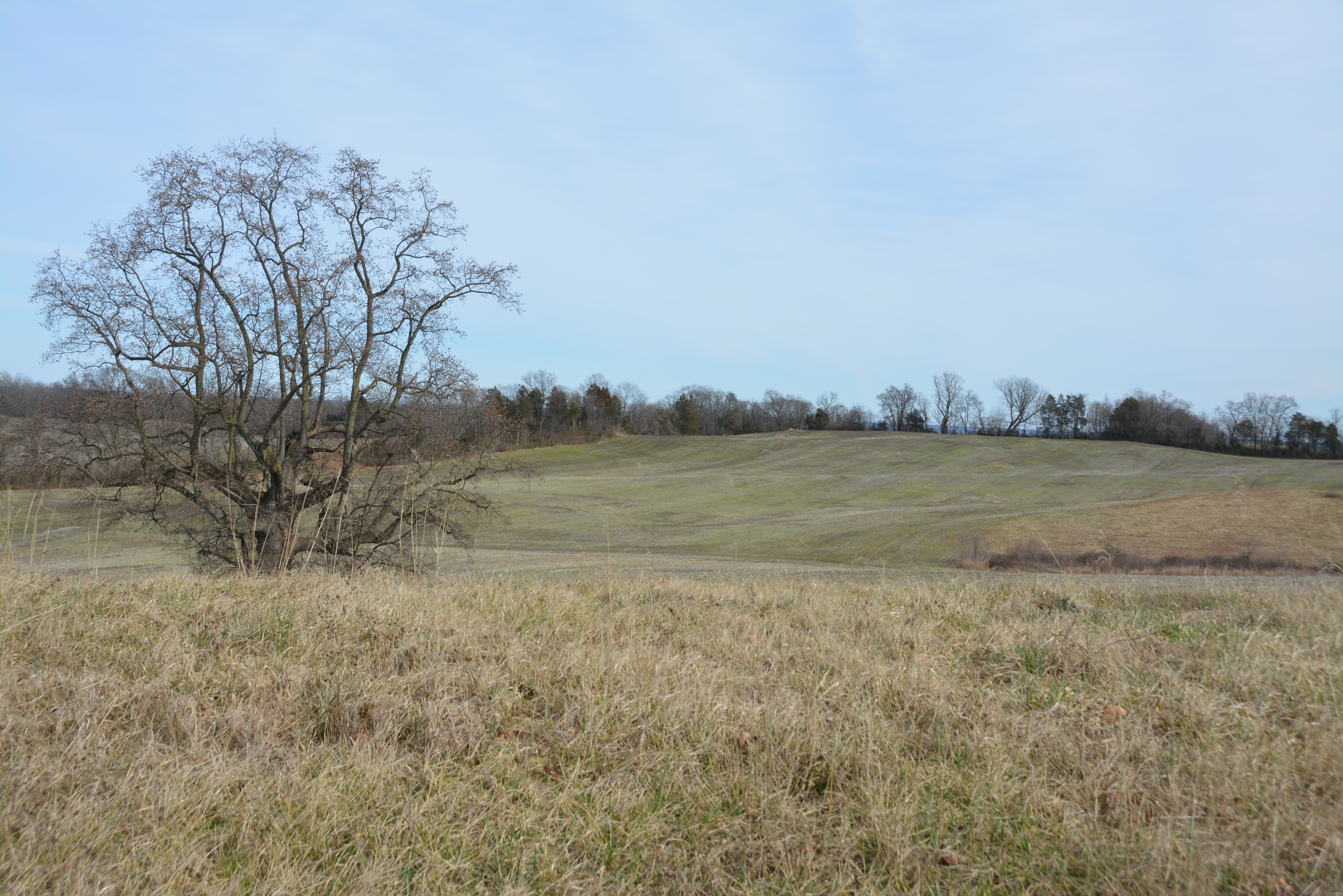 Brandy Station Battlefield in Culpeper County, Va. Brandy Station Battlefield in Culpeper County, Va.