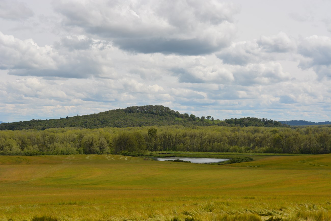 Willamette Valley