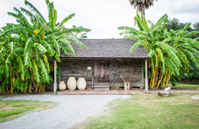 A grey colored wooden building is seen centered between several palm trees.