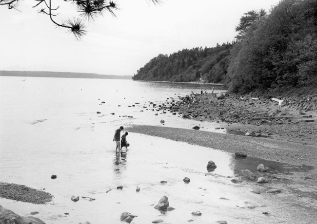 Two people walking through water on a beach