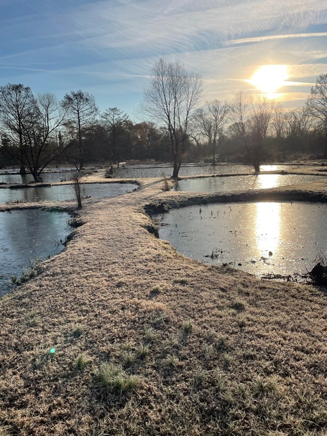 A thin layer of frost covers grass and several ponds have ice on tiop of them.