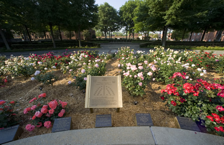 Marin Luther King, Jr.  "I Have A Dream" World Peace Rose Garden