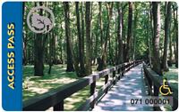 wooden boardwalk in swamp with trees