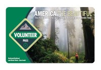 2021 Interagency Volunteer Pass The 2021 America the Beautiful-The National Parks and Federal Recreational Lands Volunteer Pass with a photo of a hiker looking skyward while standing in a forest of giant redwood trees.