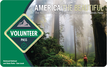 2021 Volunteer Pass that includes an image of a person in a redwoods forest