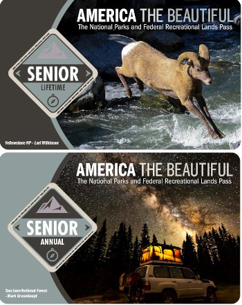 Image of the Interagency Senior Lifetime Pass with a bighorn sheep jumping over water and the 2022 Interagency Senior Annual Pass with a 4-wheel drive vehicle with a tent on top under a starry night sky.