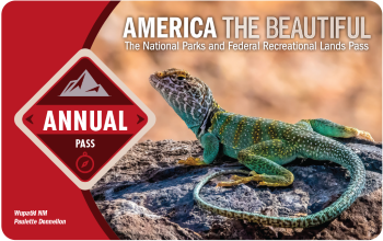 National Parks Year Issue