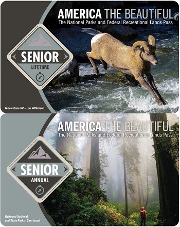 Images of the Lifetime Senior Pass and Annual Senior Pass