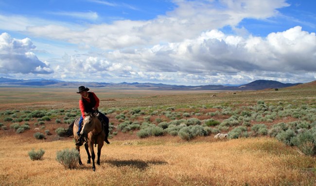 A rider in a red shirt and black cowboy hat sits on a brown horse with sagebrush and brown grass surrounding them and short grey hills in the background. A rider in a red shirt and black cowboy hat sits on a brown horse with sagebrush and brown grass surrounding them and short grey hills in the background.
