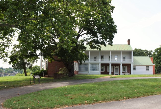 A white-columned, red brick house with a large deciduous tree in front of it.