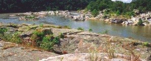 Potomac River and shore