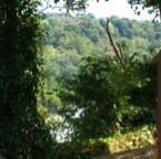 Trees obscure the Potomac in the background Trees obscure the Potomac in the background