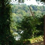 Trees obscure the Potomac in the background