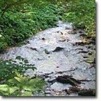 tributary from Potomac River