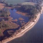 aerial view of Potomac and some tributaries