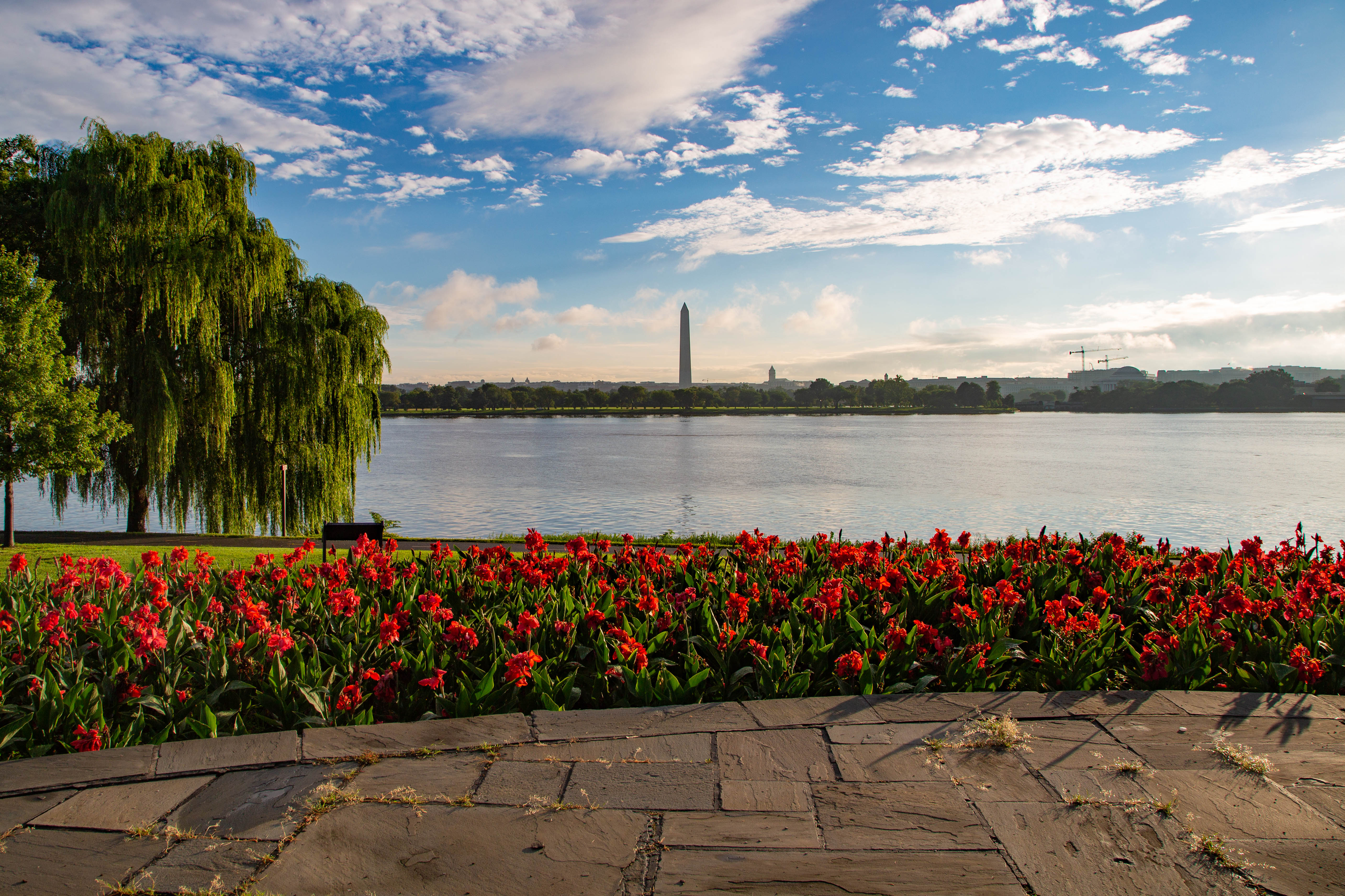 Red flowers line a walking path beside the water with the Washington Monument in the background