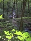 Laurel Highlands for Web