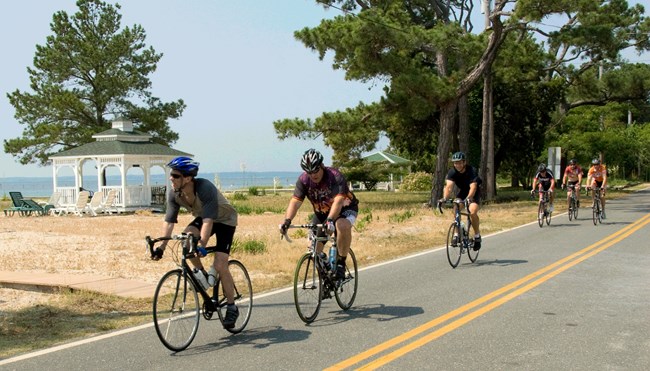 bicycling is popular in Southern Maryland bicyclists single file on a road