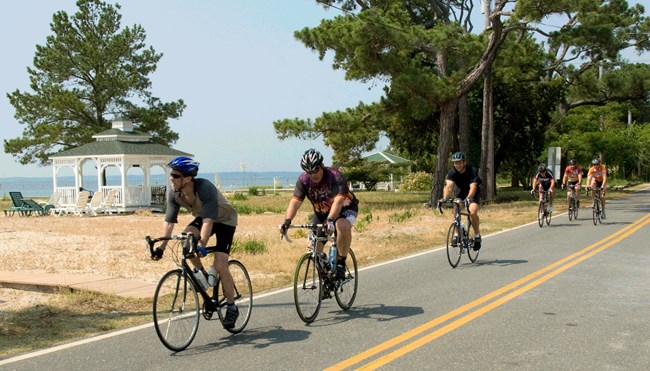 bicyclists single file on a road