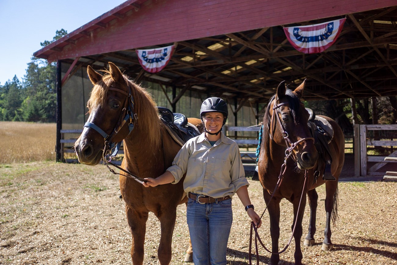 A volunteer poses with two brown morgan horses in front of a barn.