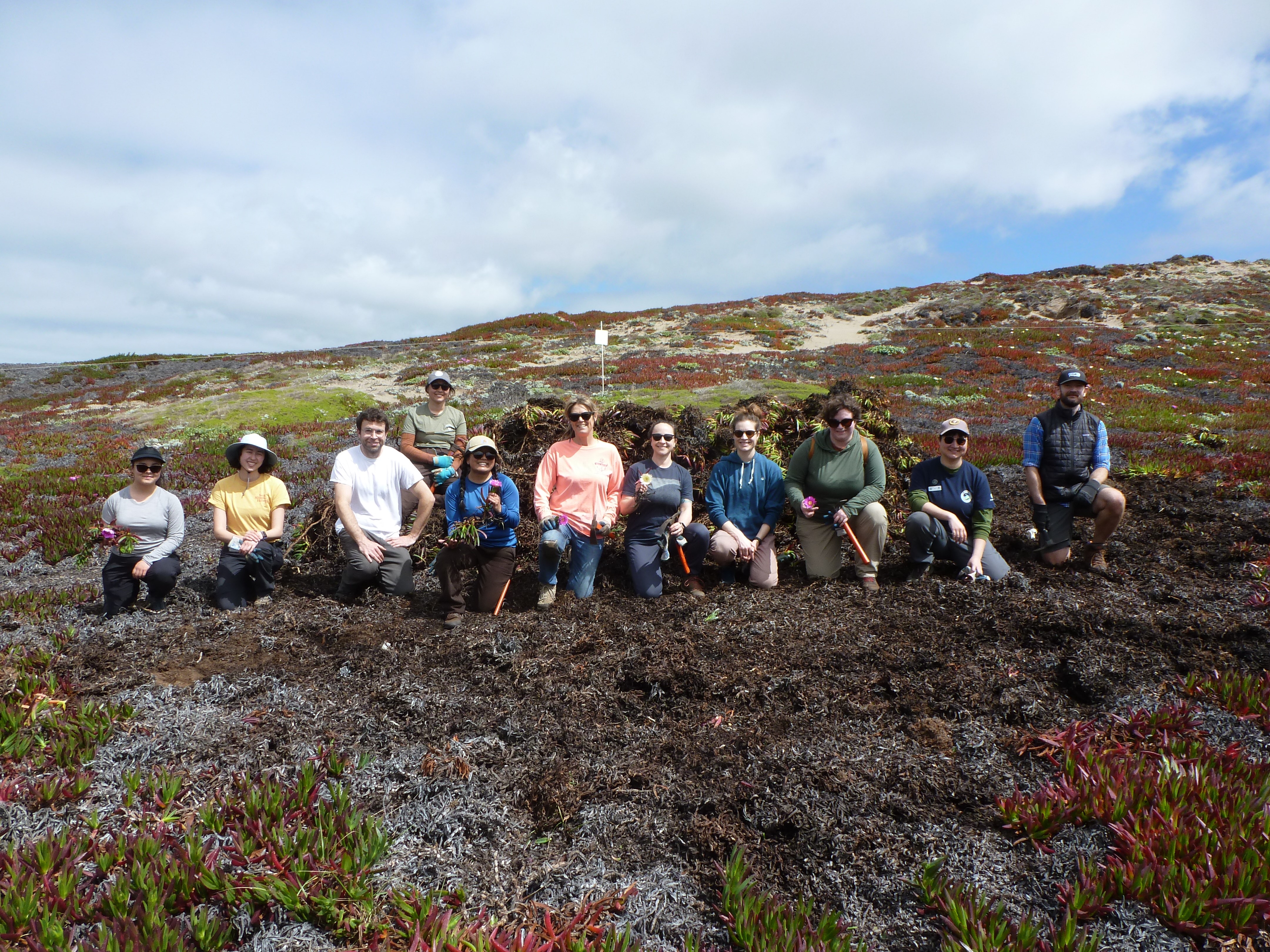 A group of 11 volunteers kneeling for a picture with a pile of removed invasive plant.