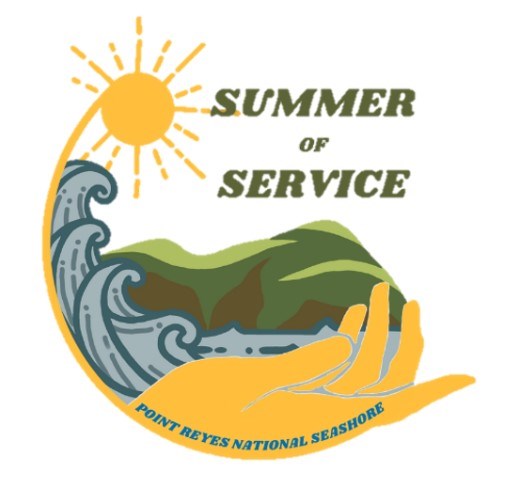 Summer of Service logo, featuring blue waves crashing against a green cliff and an outstretched hand.