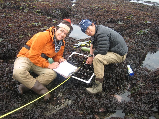 Two high school students in warm clothing and boots bent over a transect square placed over a rocky intertidal area.