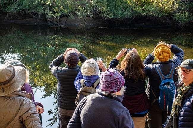 Eight people along a creek, some looking through binoculars away from the photographer.