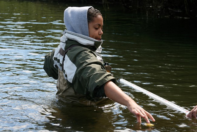 A high school student wearing hipwaders stands in waist-deep water while reaching for a white PVC tube.