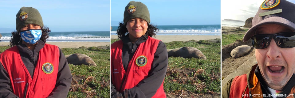 Intern Ada Valencia and Winter Wildlife Docent Seth Rosen at Drakes Beach with elephant seals in the background on February 27, 2021. Two photos of an intern and a photo of a Winter Wildlife Docent at Drakes Beach with elephant seals in the background.