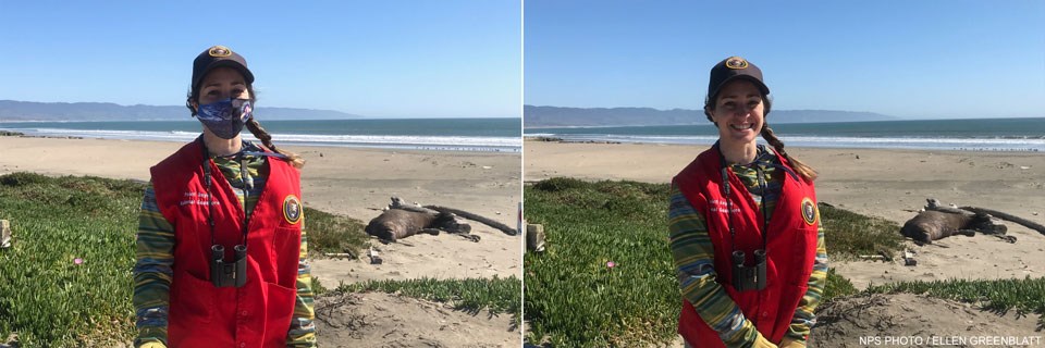 Two photos of a female wearing a red docent vest and cap standing at the edge of the beach with an elephant seal lying on the sand in the background.