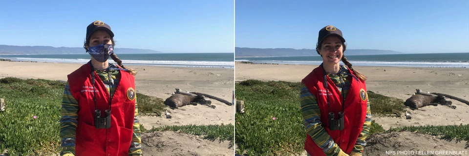 Winter Wildlife Docent Kendra O'Connor. at Drakes Beach with an elephant seal in the background on February 24, 2021. Two photos of a female wearing a red docent vest and cap standing at the edge of the beach with an elephant seal lying on the sand in the background.