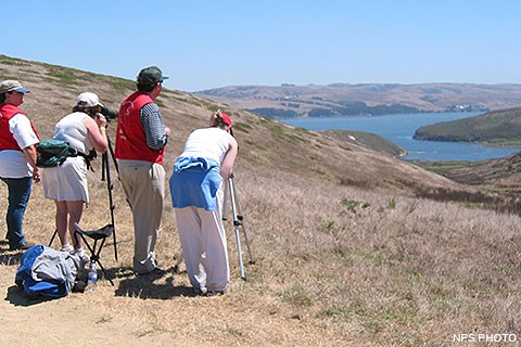 Two tule elk docents wearing red vests helping two visitors view tule elk through spotting scopes.