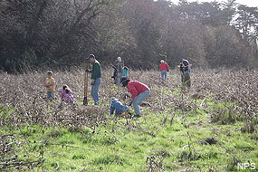 Stream Team Volunteers Stream Team Volunteers